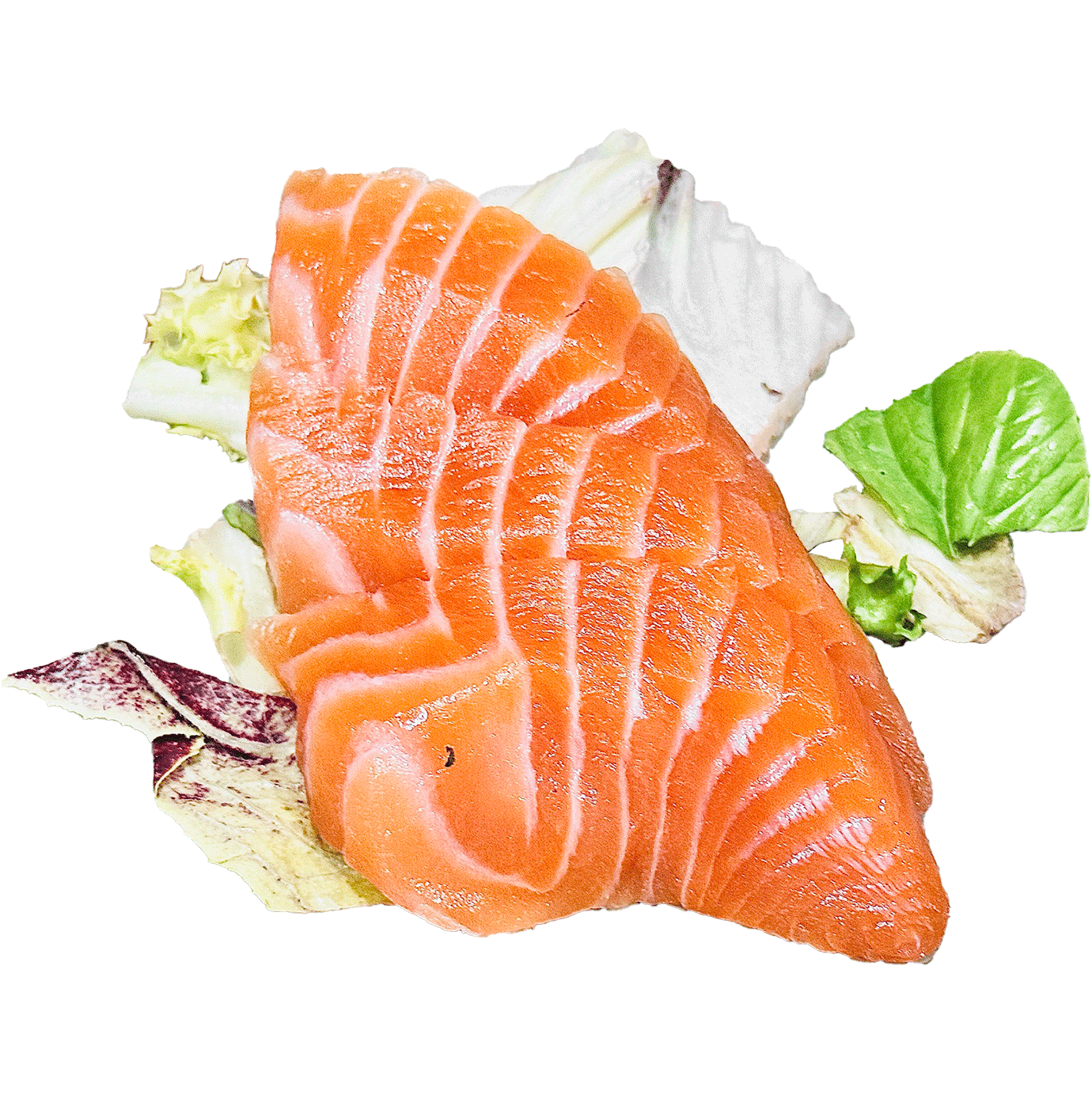 Salmón