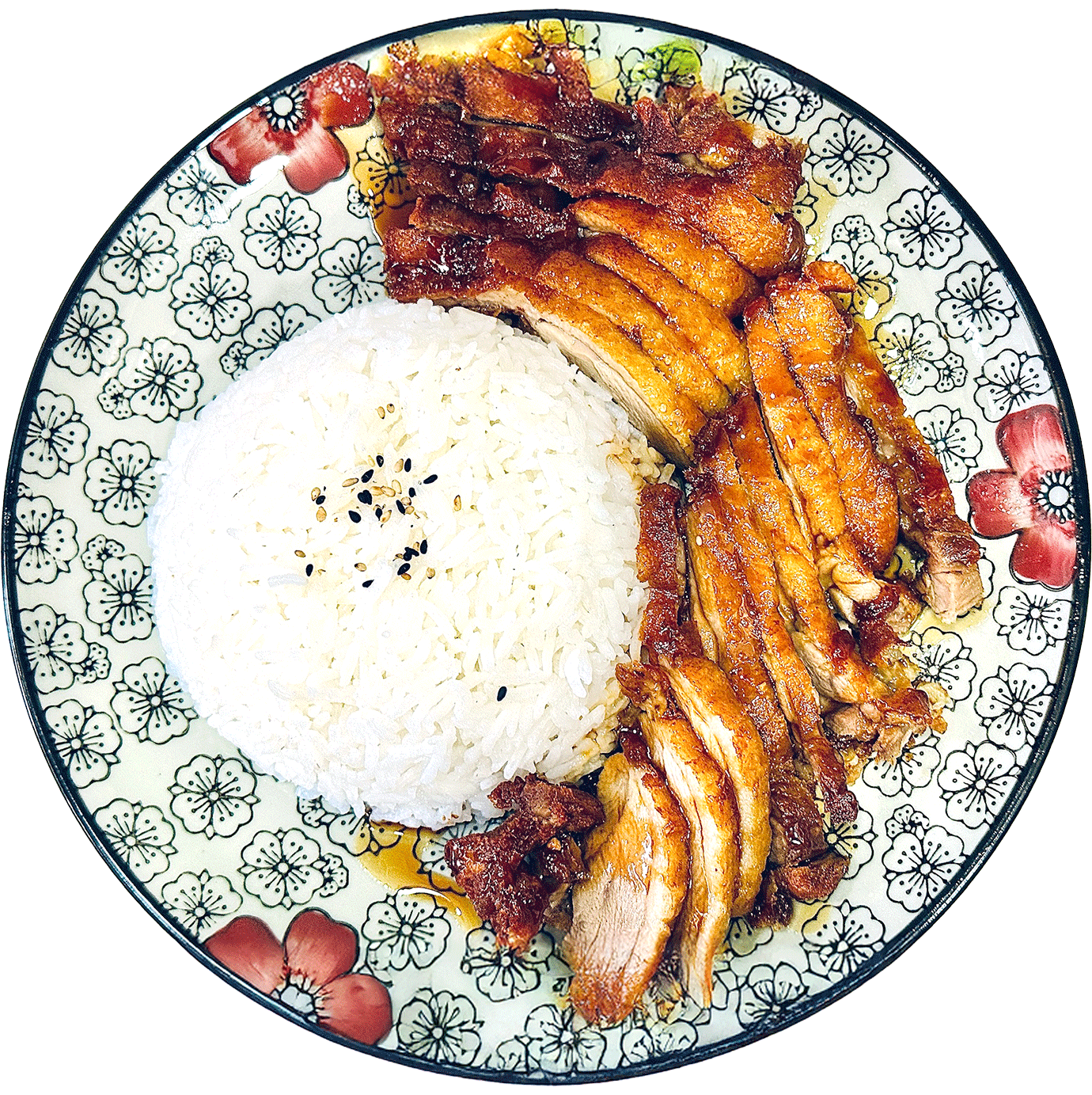 Pato con arroz